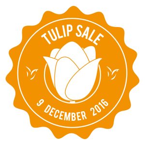 FRIDAY DECEMBER 9 TULIP HOLSTEIN SALE 2016