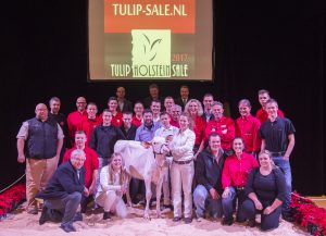 Topper Tulip Sale € 25.500