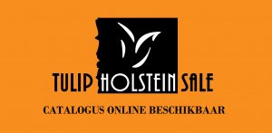 Tulip Holstein Sale 2018 catalogus beschikbaar